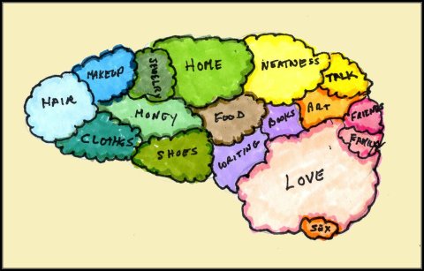 womensbrain.jpg