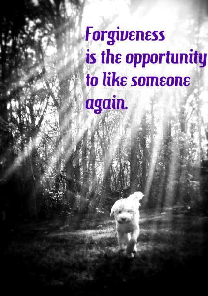 forgive2